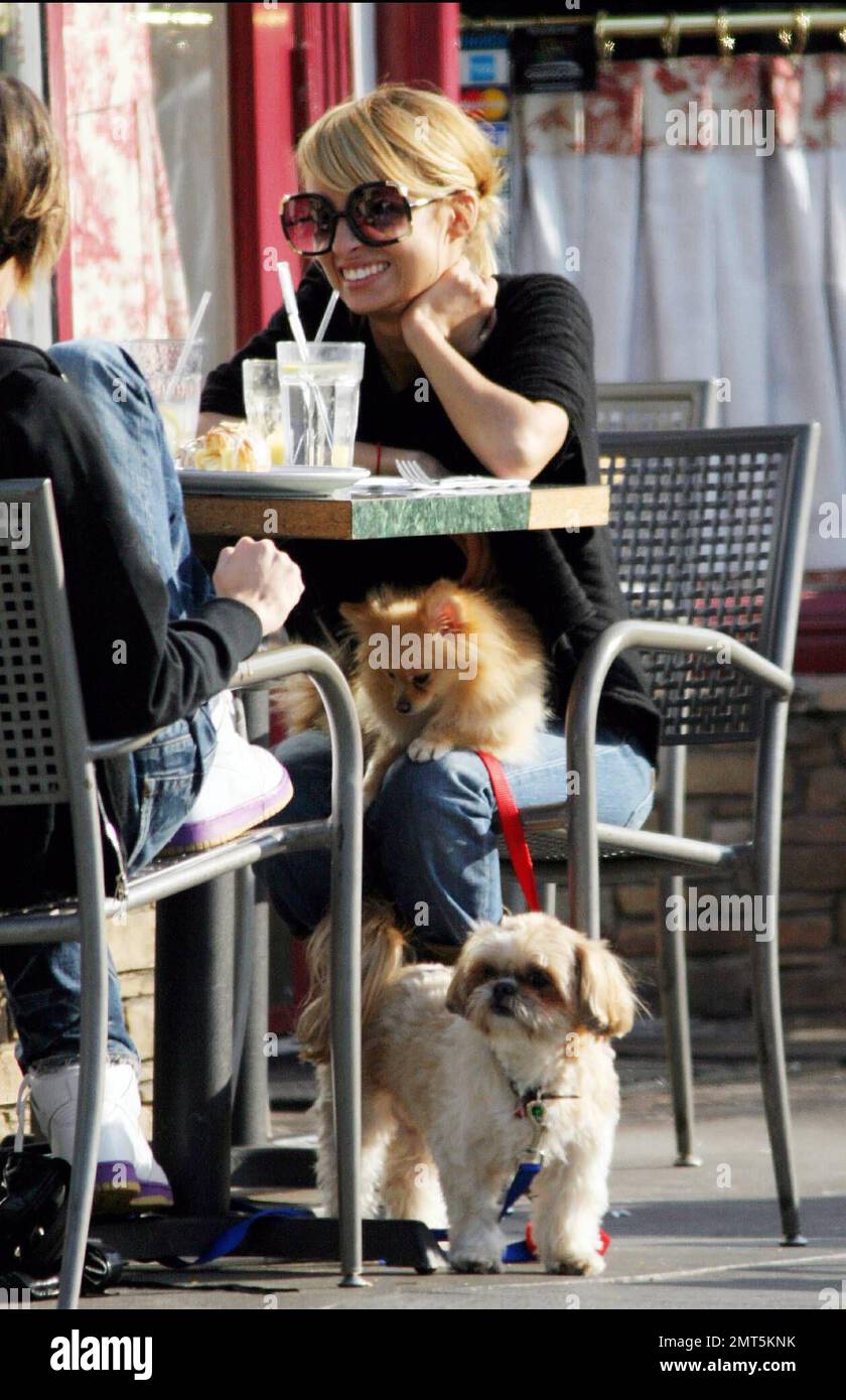 Exclusive!! Nicole Richie takes her two dogs Foxy Cleopatra and Honey Child along for lunch with her friends at La Conversacion in Beverly Hills, Ca. Richie spent most of the meal fussing over her two pooches, petting and feeding them. 1/29/06 Stock Photo