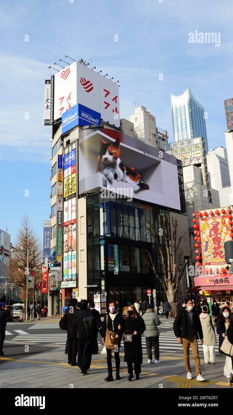 Pedestrians crossing the street under the 3D cat billboard