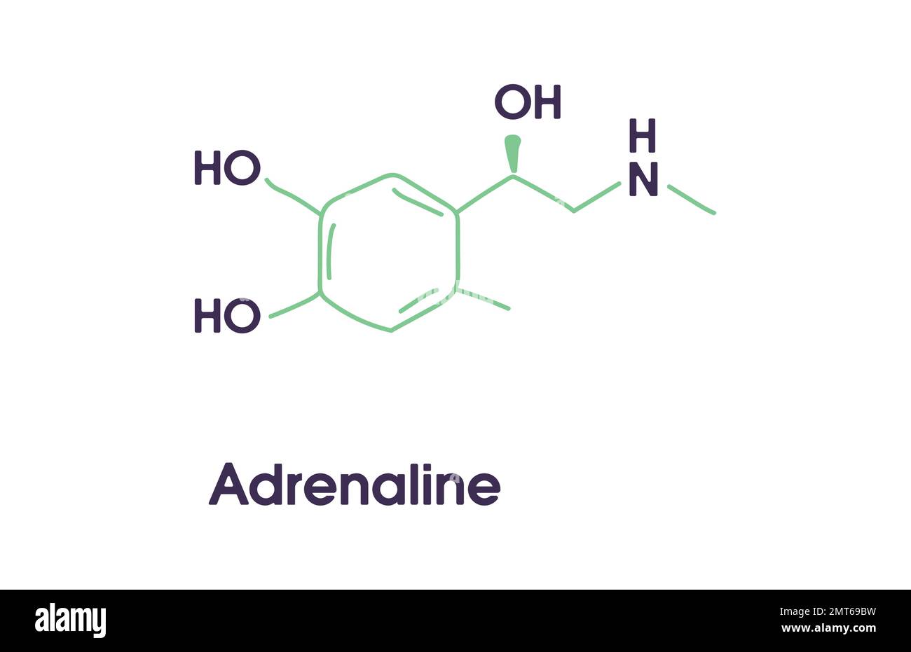 Adrenaline adrenalin, epinephrine neurotransmitter molecule Stock