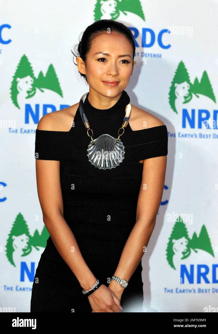 Actress Ziyi Zhang attends NRDC's 11th Annual "Forces of Nature