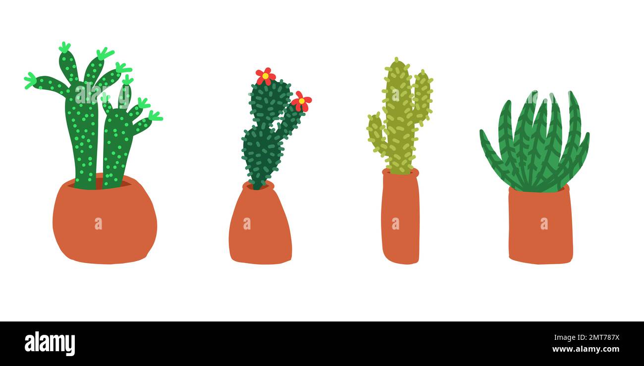 Cacti set. Vector illustrations in cartoon flat style isolated on white ...