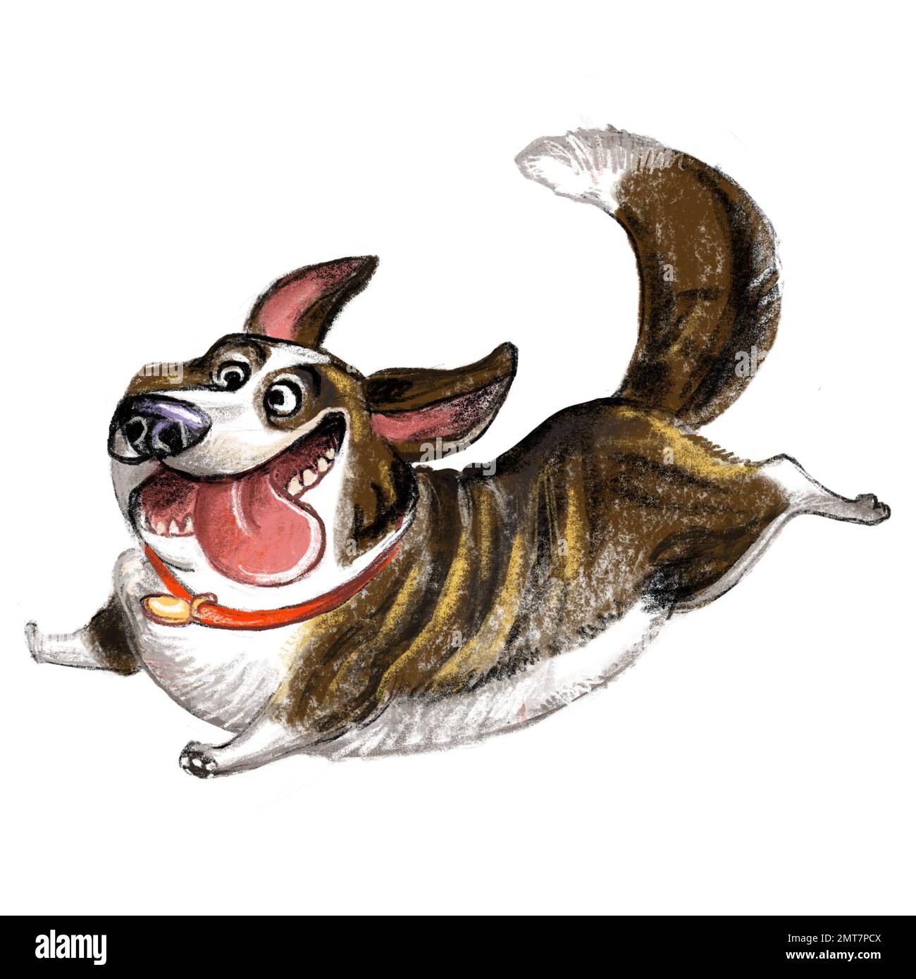 Cute funny cartoon dog character. Cardigan Welsh Corgi dog breed illustration isolatwd on white background. For print, design, sublimation, stickers, Stock Photo