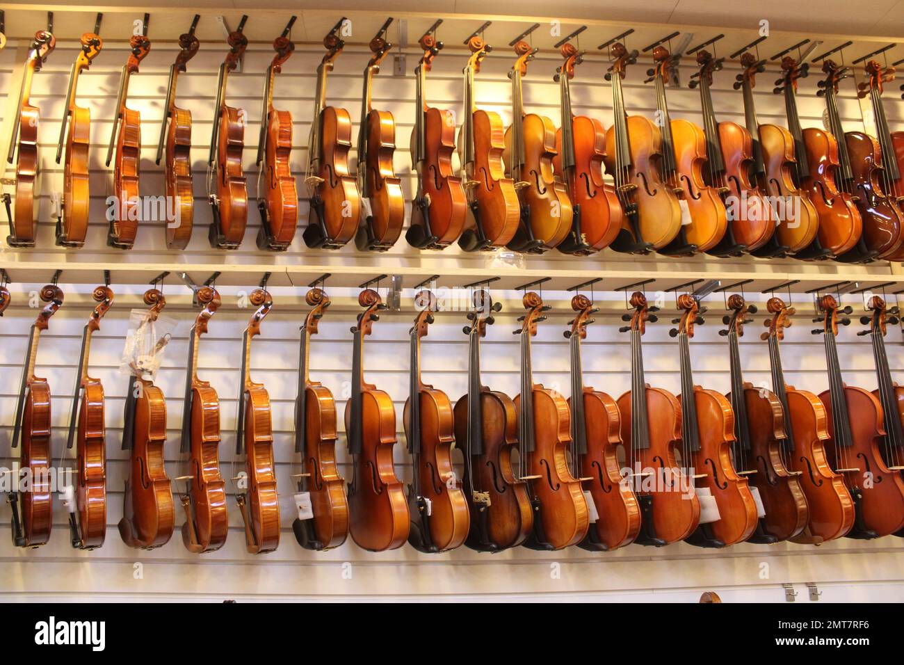 Violins on display in music store Stock Photo