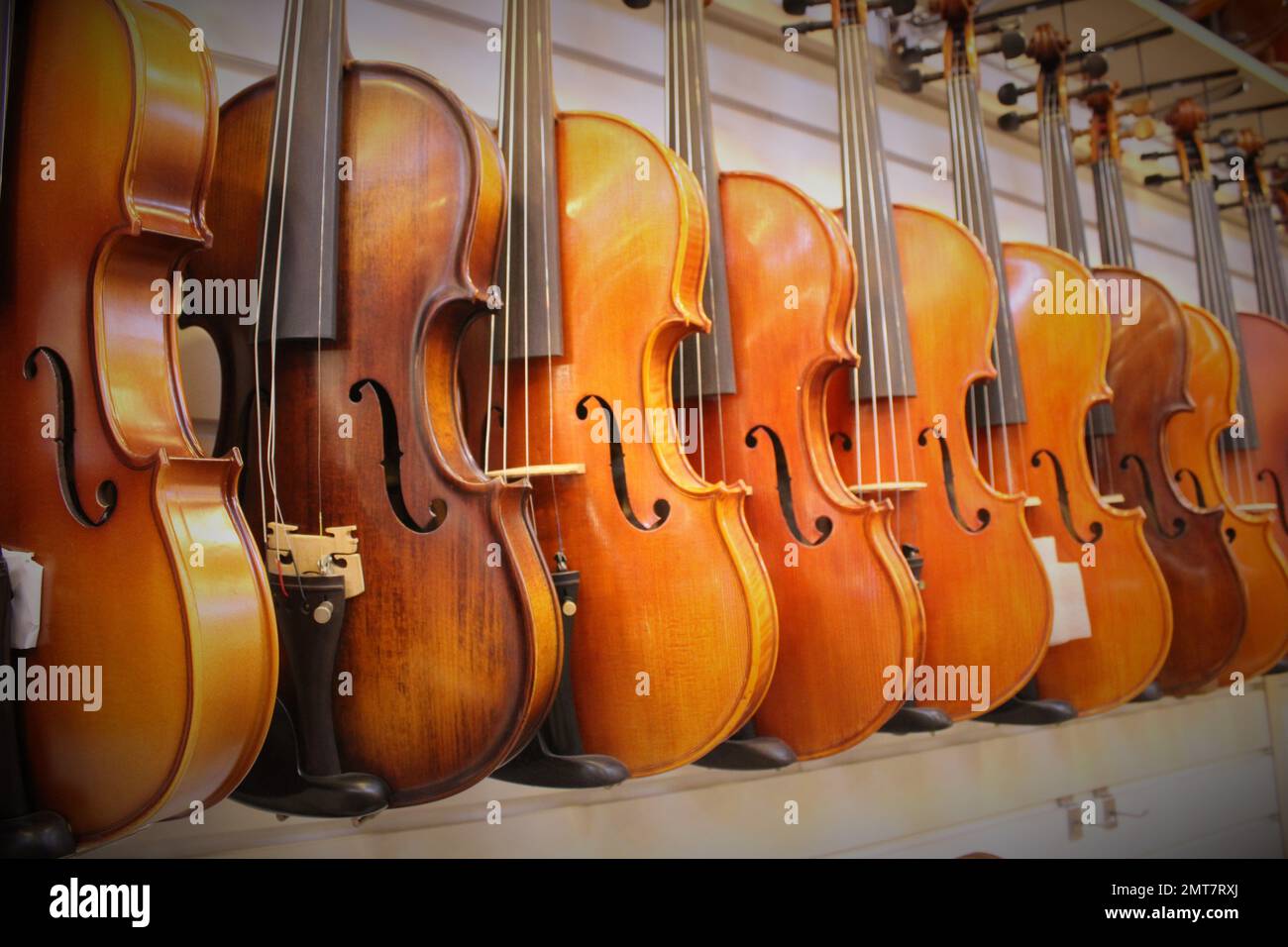 Violins on display in music store Stock Photo