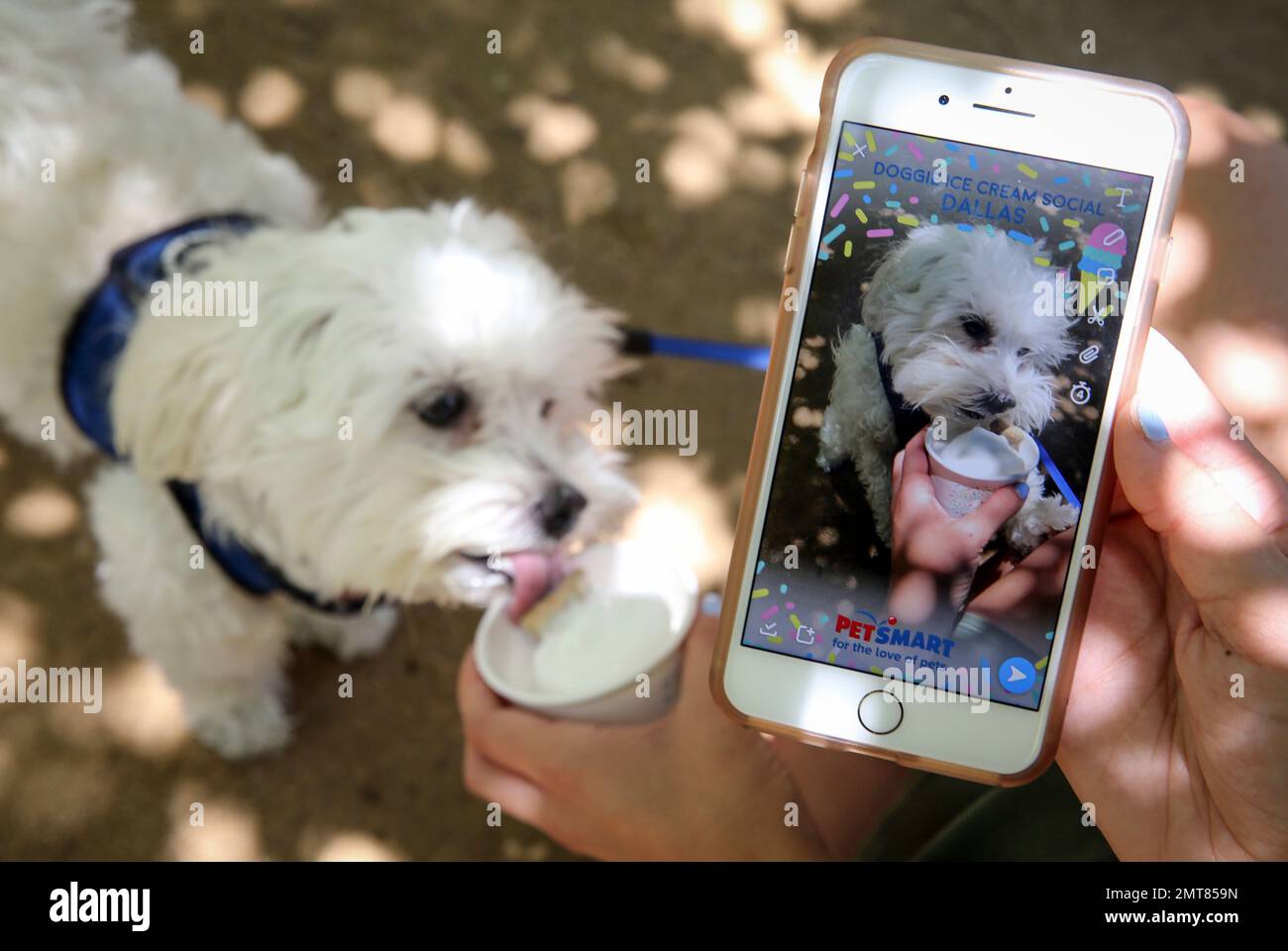 IMAGE DISTRIBUTED FOR PETSMART Pet parent Hudson snaps a photo