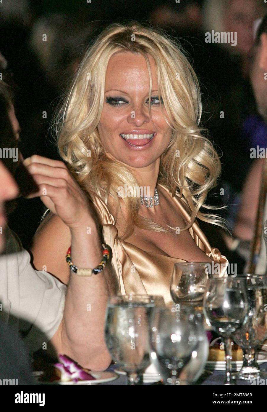 Actress Pamela Anderson Attends The Animal Rights Foundation Of Florida actress-pamela-anderson-attends-the-animal-rights-foundation-of-florida