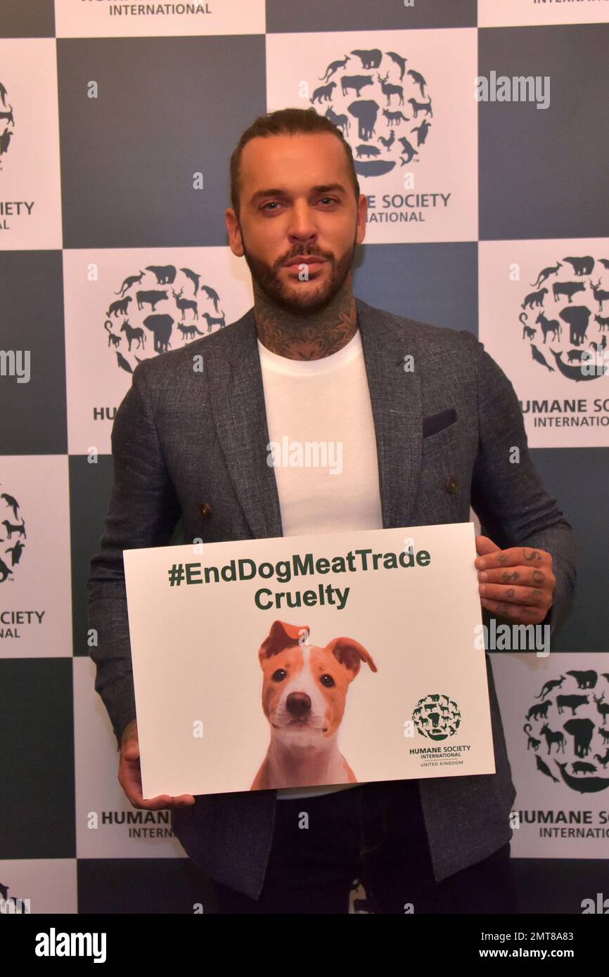 IMAGE DISTRIBUTED FOR HUMANE SOCIETY INTERNATIONAL On the eve of