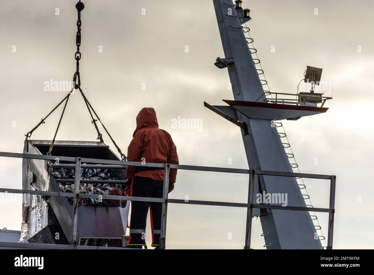 Unloading fish from ANTARCTIC  super trawler in Killybegs, County Donegal, Ireland. Stock Photo