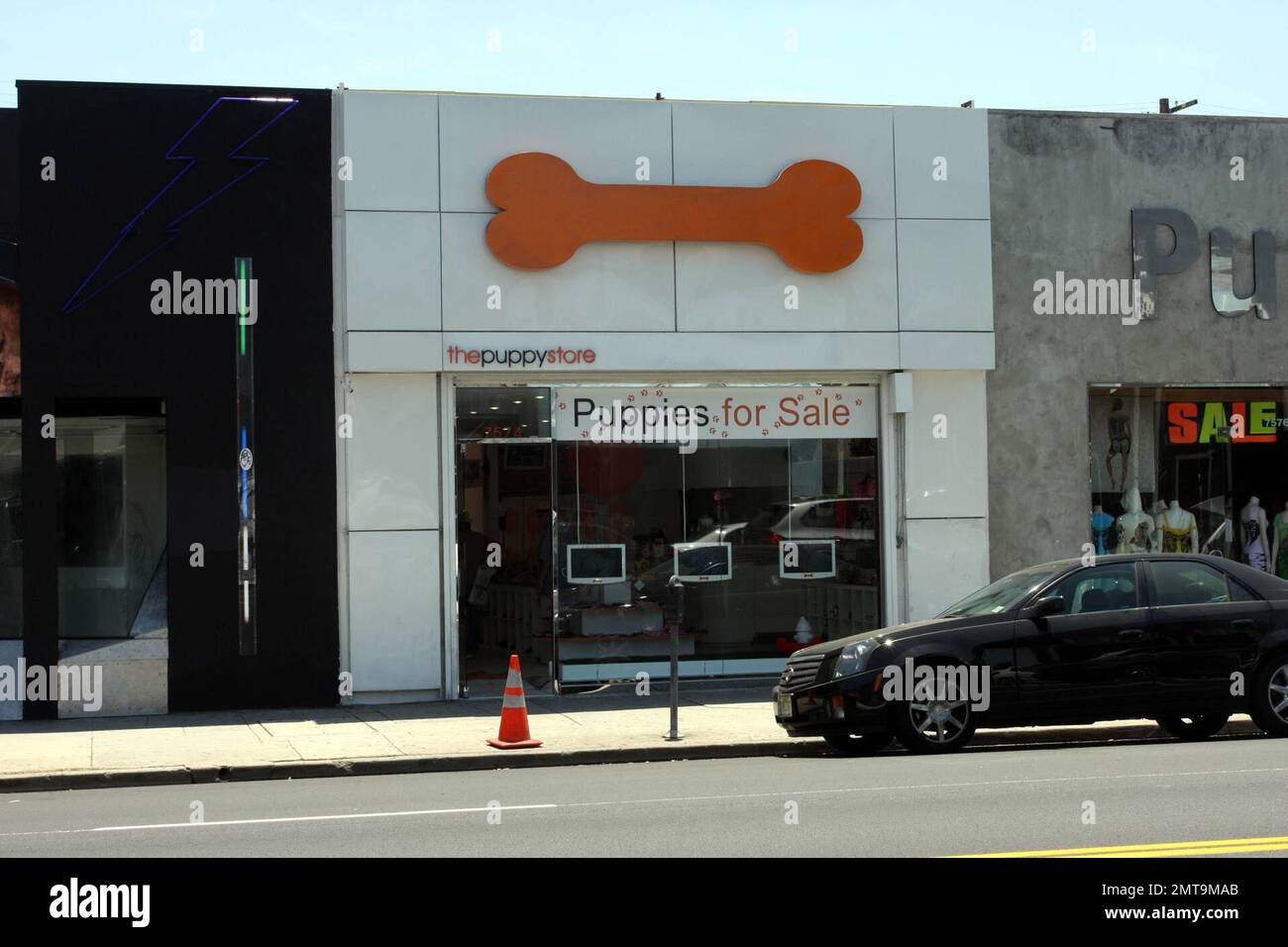 Avenues puppy store sales