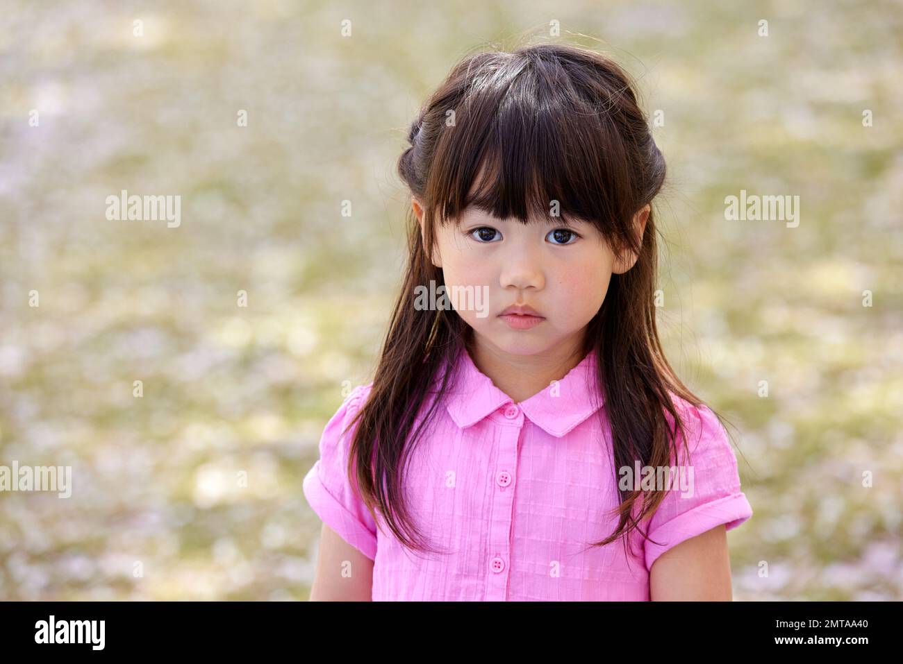Japanese kid portrait with blooming cherry blossoms Stock Photo