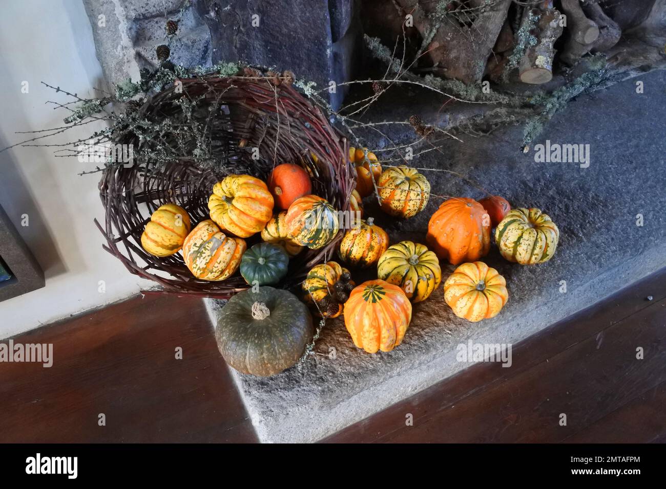 Colourful gourds tumbling out of a wicker basket, set in a domestic fireplace - Joh Gollop Stock Photo