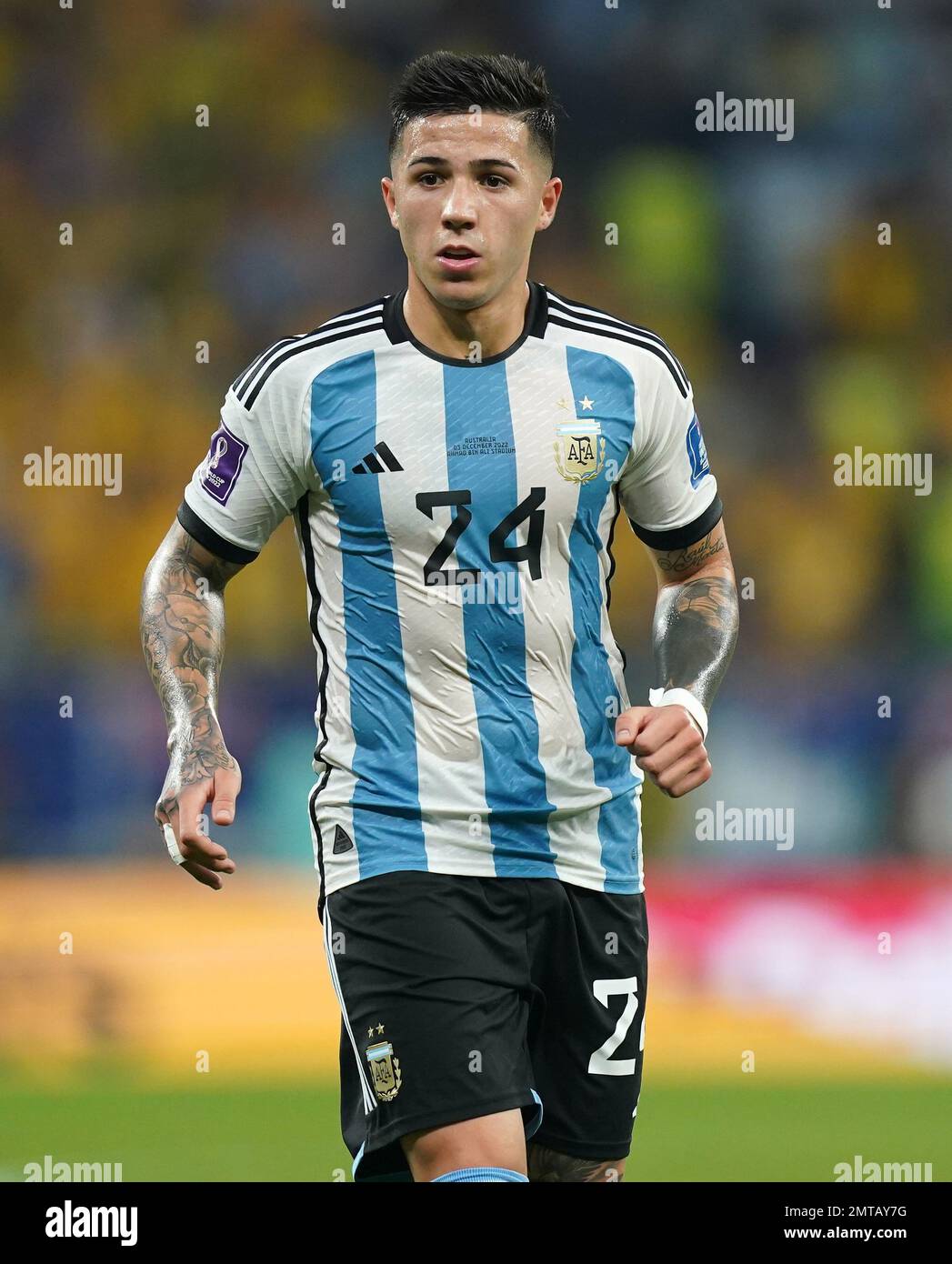 Enzo Fernandez Enzo Fernandez