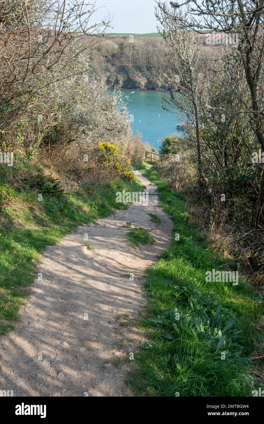 Solva, Pembrokeshire. Costal path leading to Solva Harbour in springtime Stock Photo