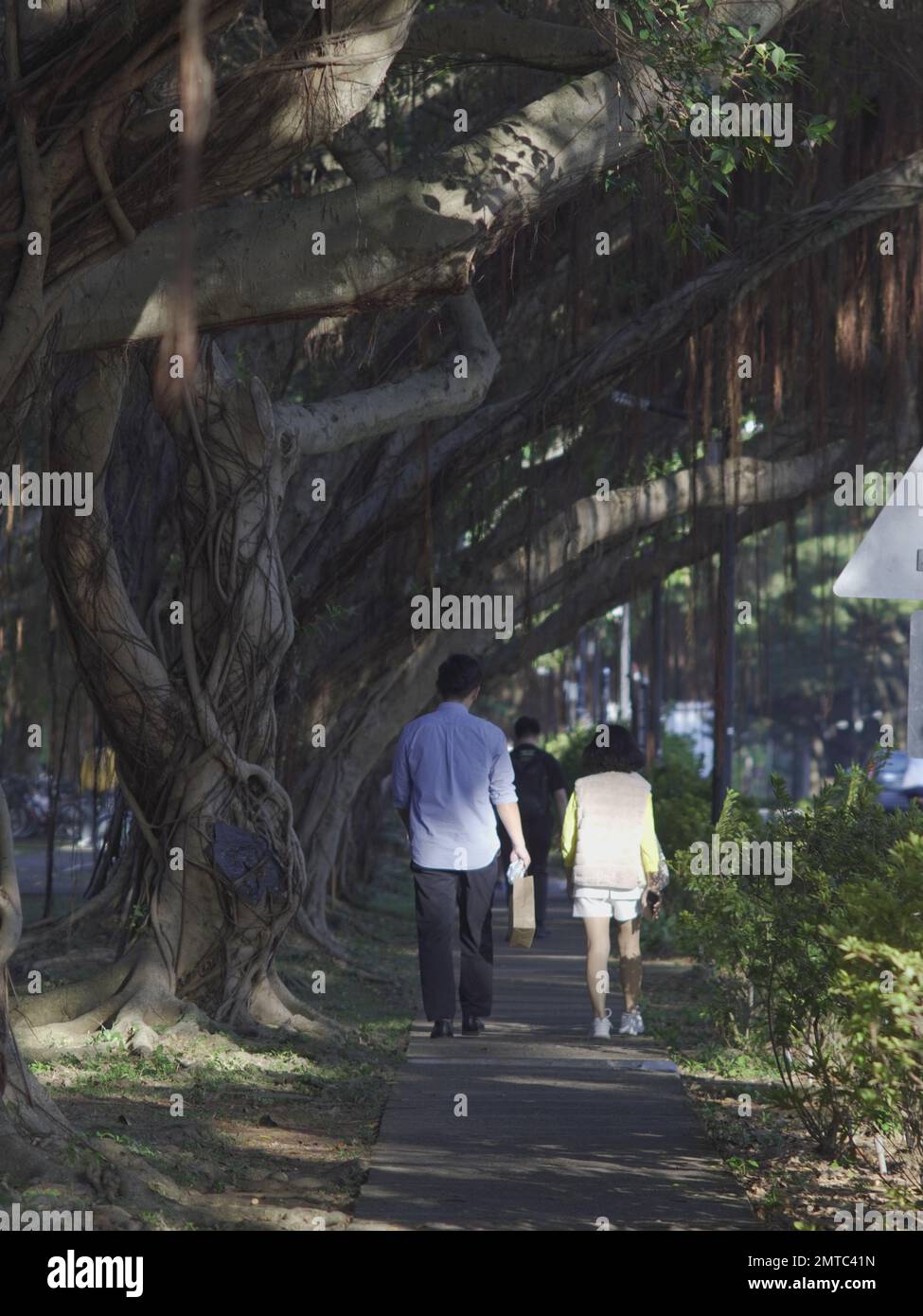 Students under a tree hi-res stock photography and images - Alamy