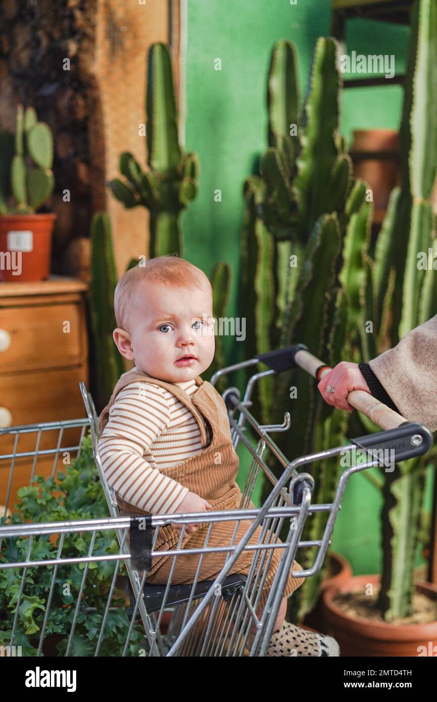 Shopping at a garden centre hi-res stock photography and images - Alamy
