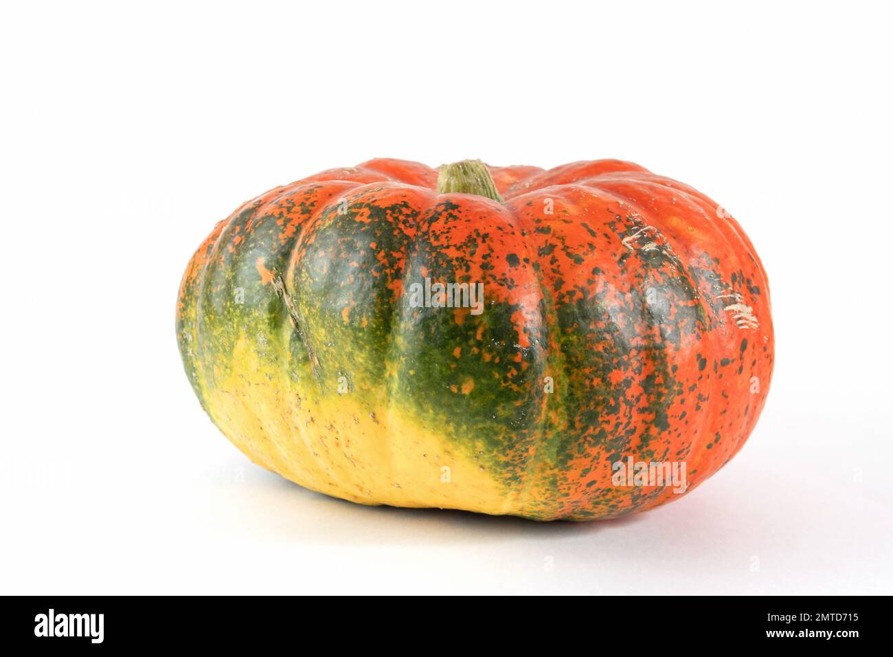 Pumpkin isolated on white with shadow and subtle reflection. Ripe ugly pumpkin, orange green pumpkin. Harvest. Stock Photo