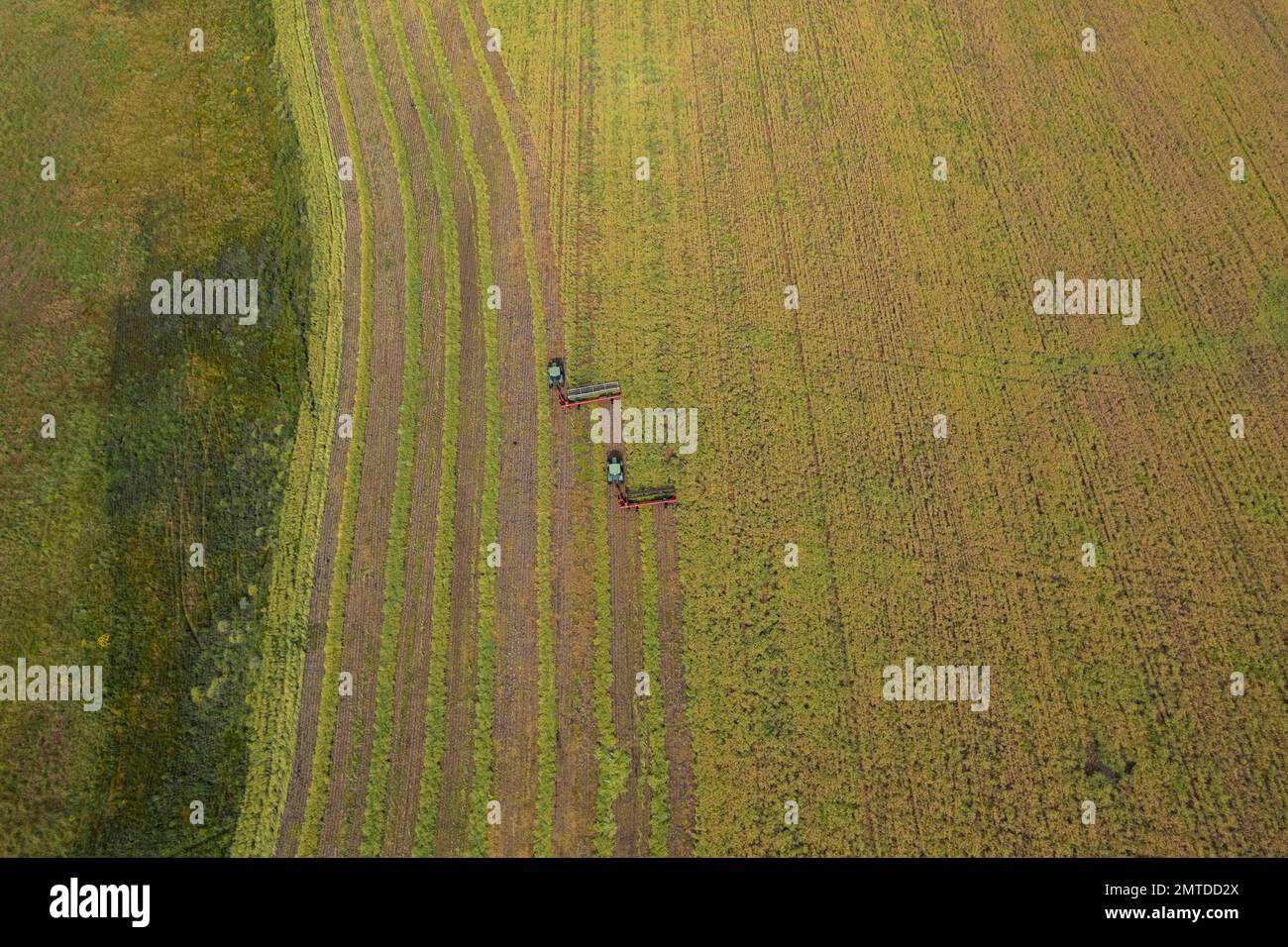 An aerial shot of a combine harvester working on an agricultural farm ...