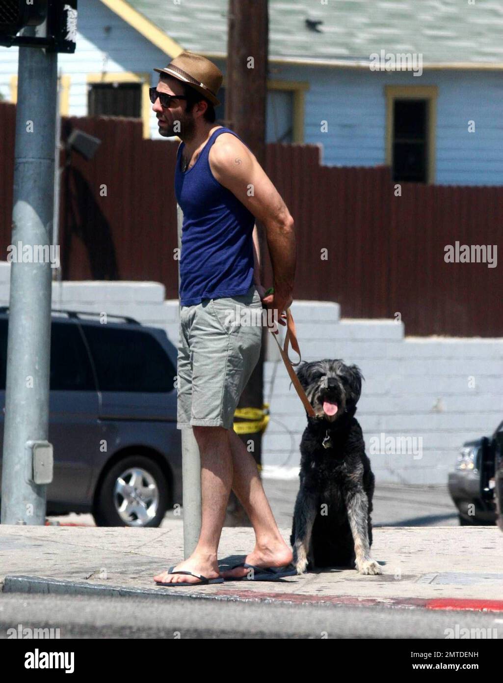 Zachary Quinto takes his Irish Wolfhound/Airedale Terrier dog Noah for