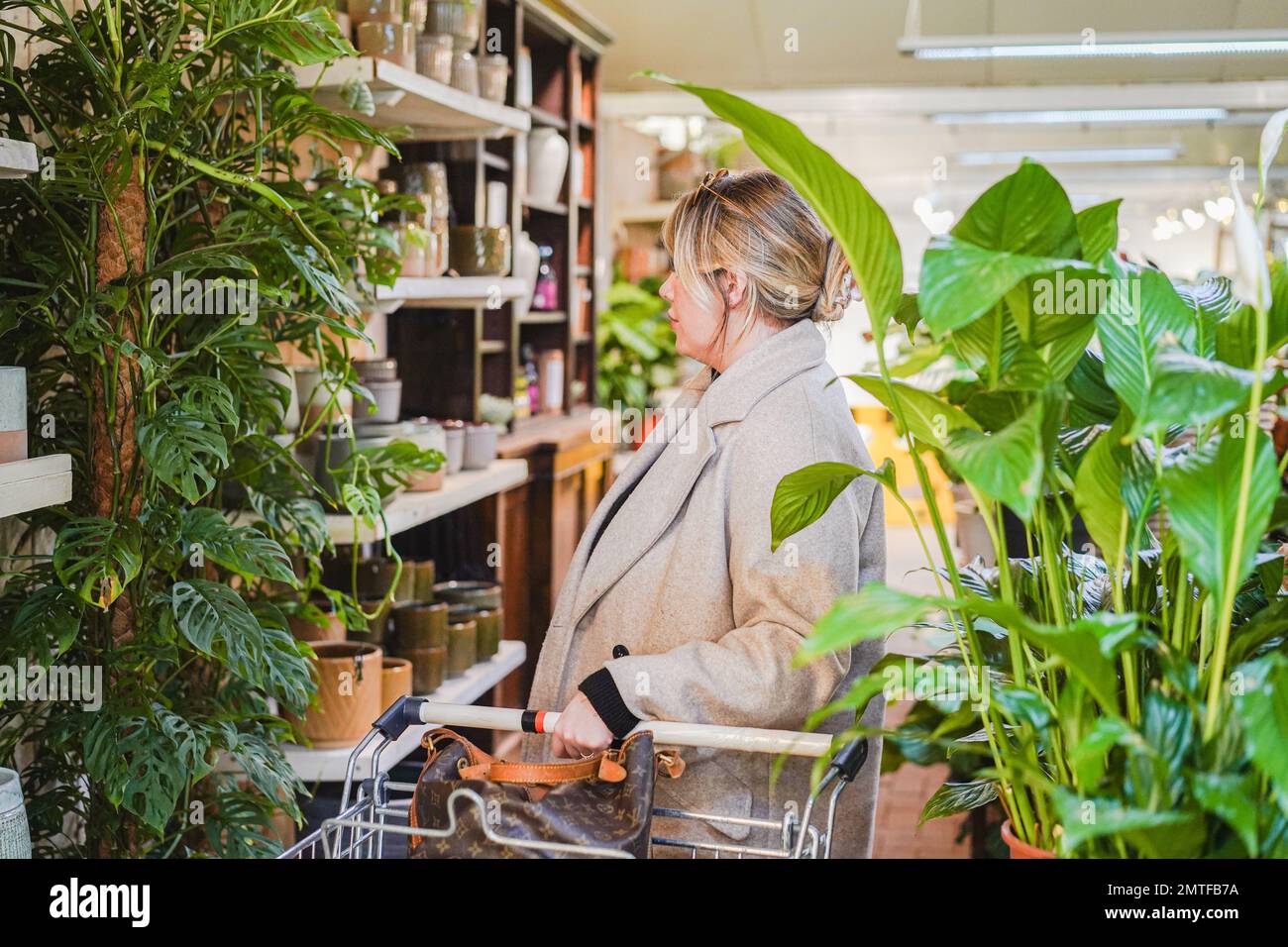 House Plant Shopping at a garden centre Stock Photo - Alamy