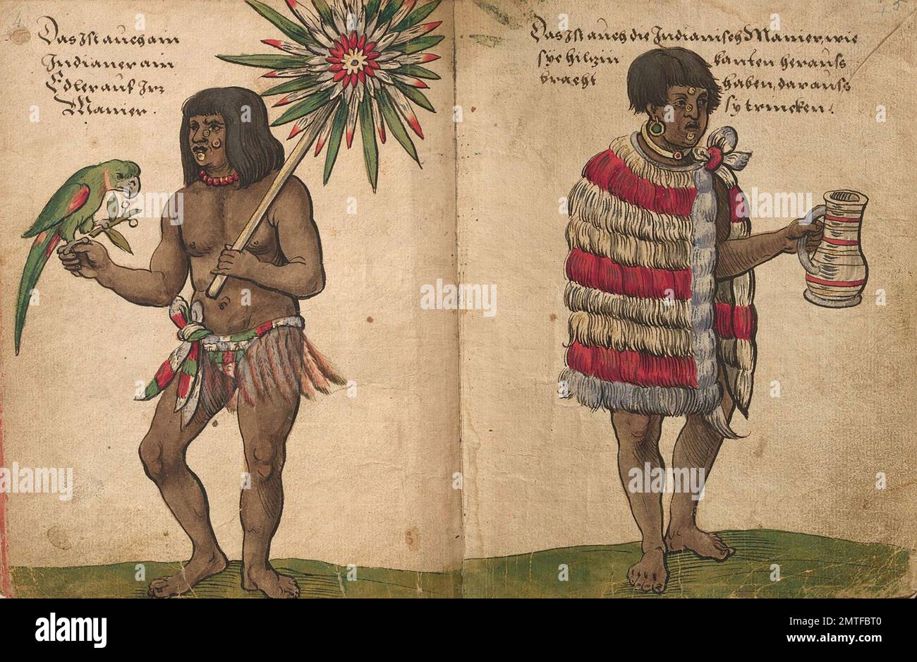 CHRISTOPH WEIDITZ  (1498-1559) German artist whose works included many illustrations of the native people of South America found by the Spanish Conquistadors Stock Photo
