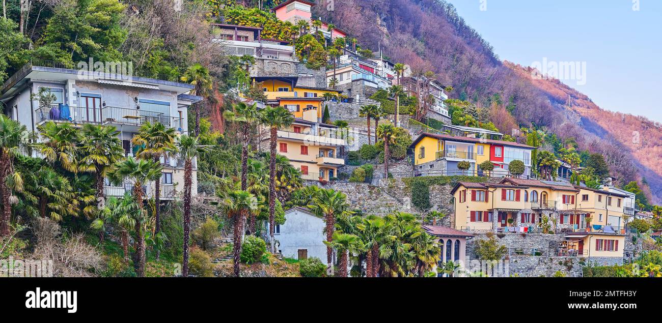 Panorama of the small houses, tall palms and tiny gardens on the mountain slope, Ronco sopra Ascona, Switzerland Stock Photo