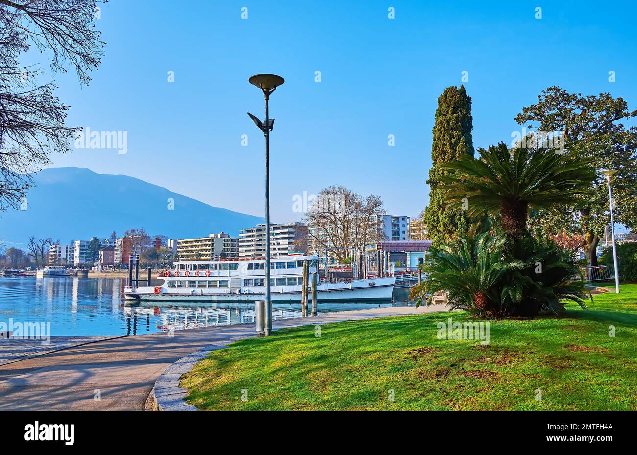 The green lawn, palms and thujas on the bank of Lake Maggiore, Locarno ...
