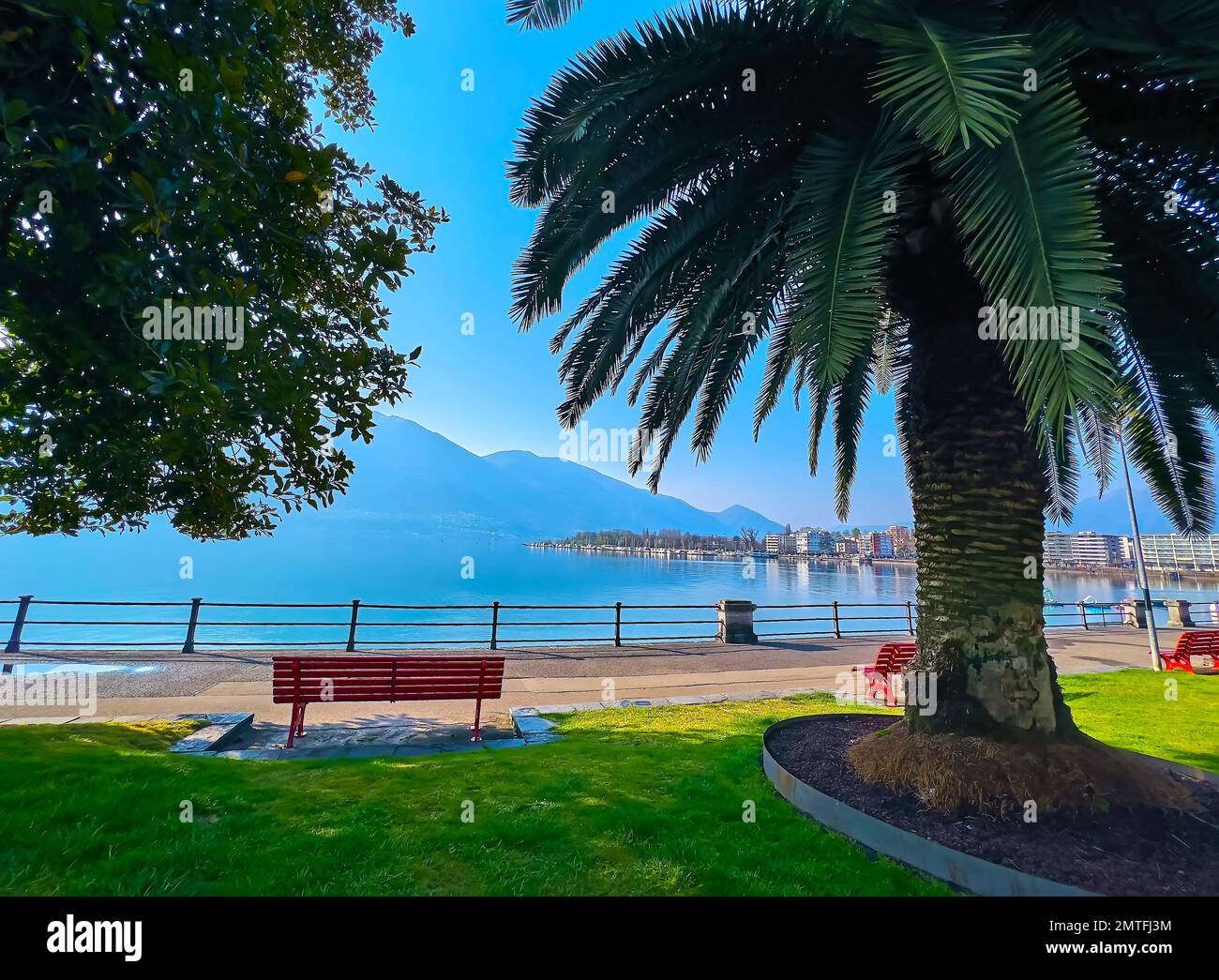 LOCARNO main image 0