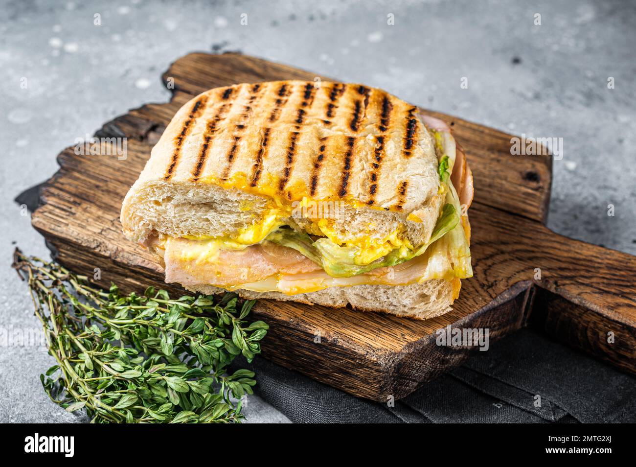 Toasted Panini sandwich with Prosciutto ham and cheese. Gray background. top view Stock Photo