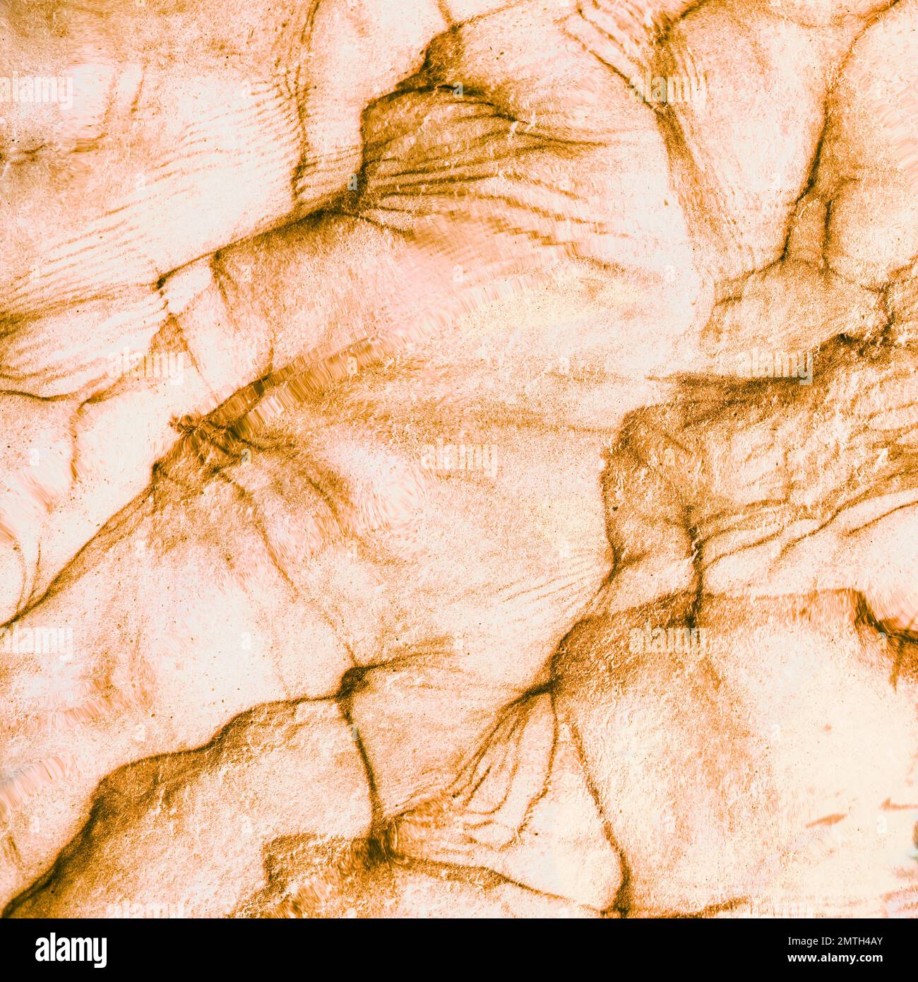 Abstract light surface with slits or wrinkles. Textures. Background. Stock Photo