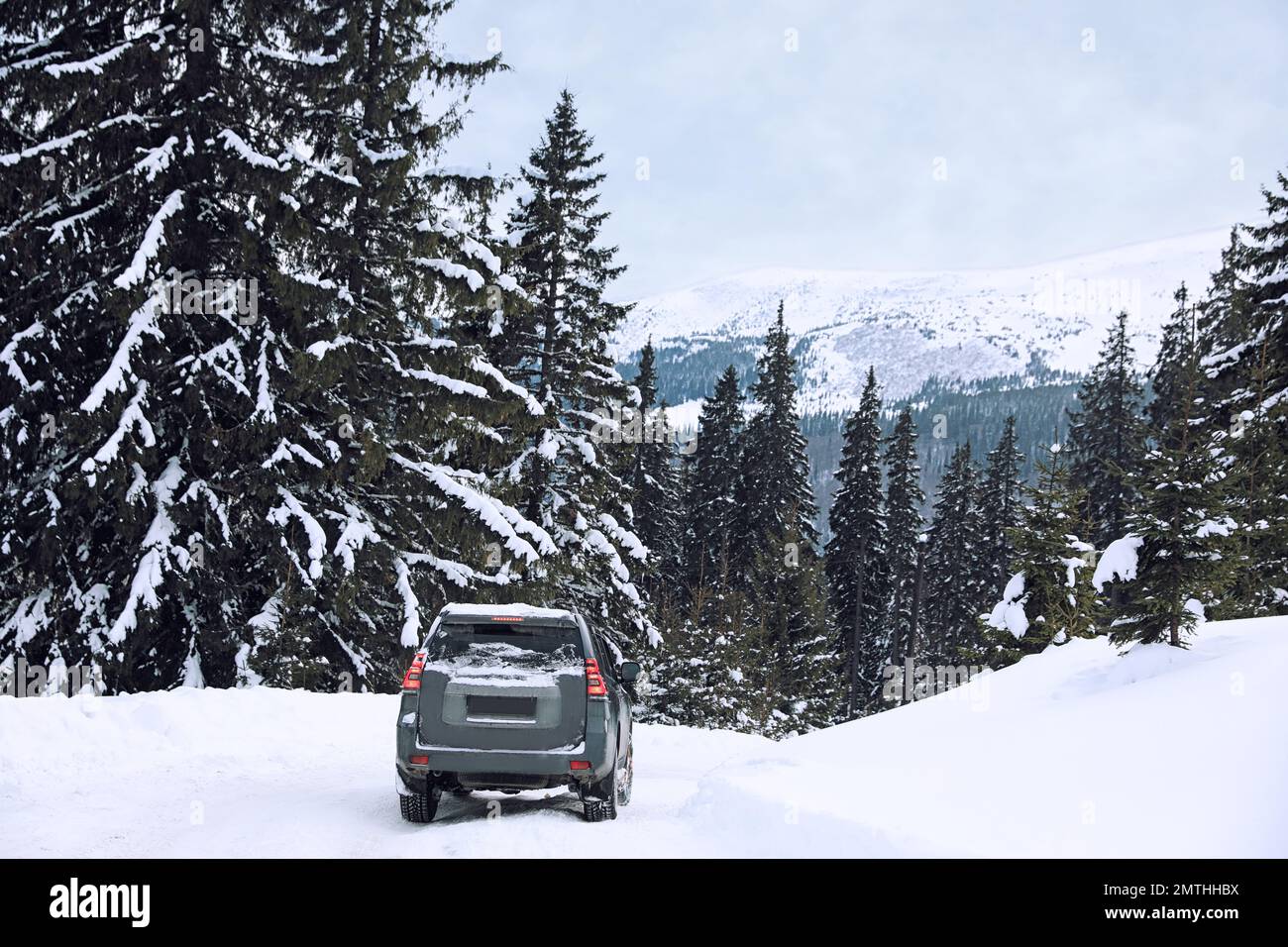 Modern car on snowy road in winter forest Stock Photo - Alamy