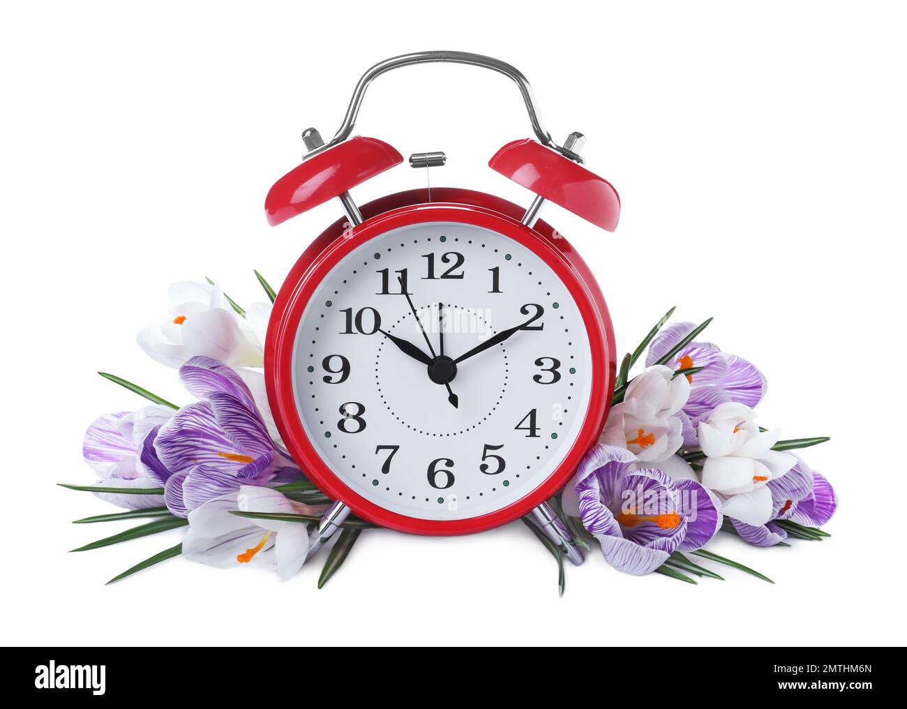 Red alarm clock and spring flowers on white background. Time change Stock Photo Alamy