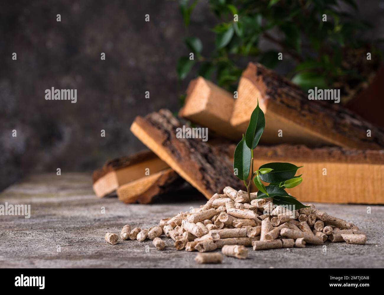 Eco2fume Pellets Eco fuel wooden pellets with firewood Stock Photo - Alamy