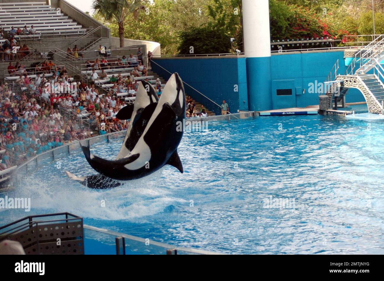 General views of the Sea World Park where trainer Dawn Brancheau, 40, was killed by a five-ton killer whale that grabbed the trainer after her hair brushed its nose and held her in its mouth beneath the water causing her to drown. The incident, witnessed by 50 tourists, was not the first for the whale, having killed a trainer at a park in British Columbia before moving to Sea World. Orlando, FL. 2/25/10. Stock Photo