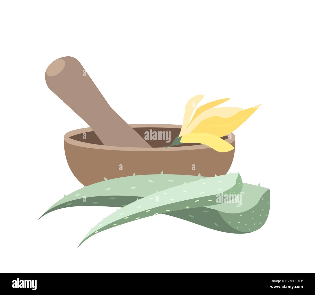 Mortar and Pestle set for mixing herbs,Aloe Vera,Champaka Flowers