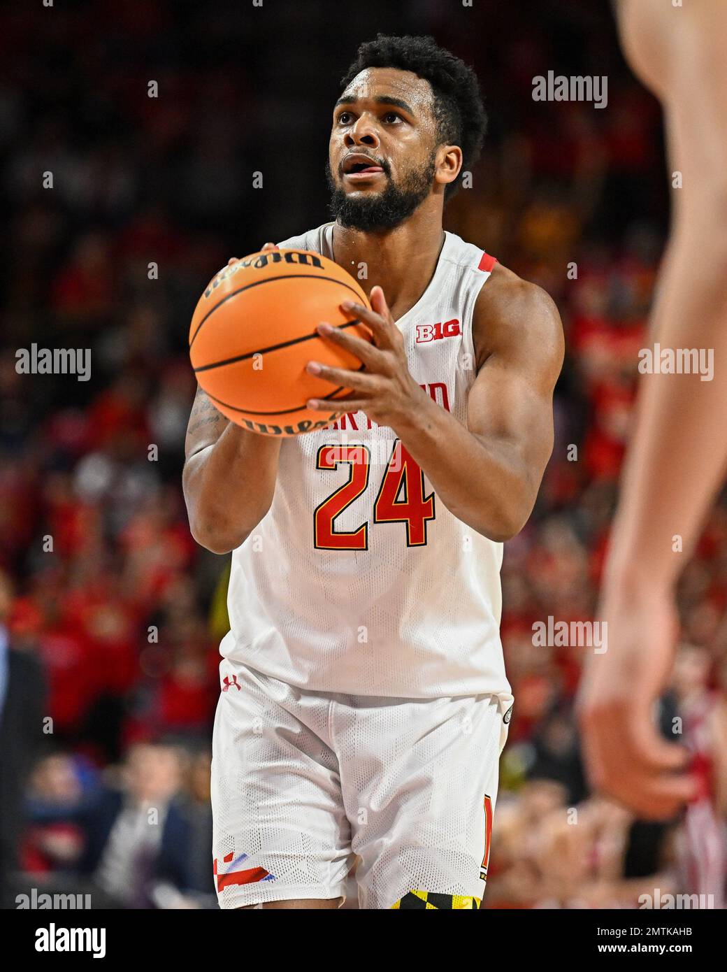 College Park, MD, USA. 31st Jan, 2023. Maryland Terrapins forward Donta Scott (24) shots a free throw during the NCAA basketball game between the Indiana Hoosiers and the Maryland Terrapins at Xfinity Center in College Park, MD. Reggie Hildred/CSM/Alamy Live News Stock Photo