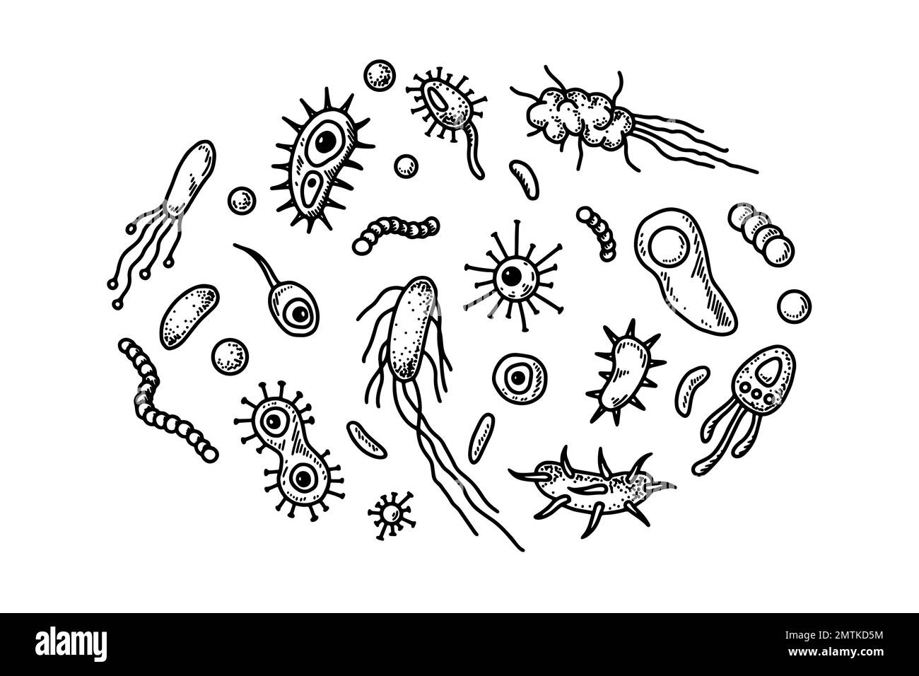 Set of hand drawn bacterias and microorganisms. Vector illustration in sketch style. Realistic microbiology scientific design Stock Vector