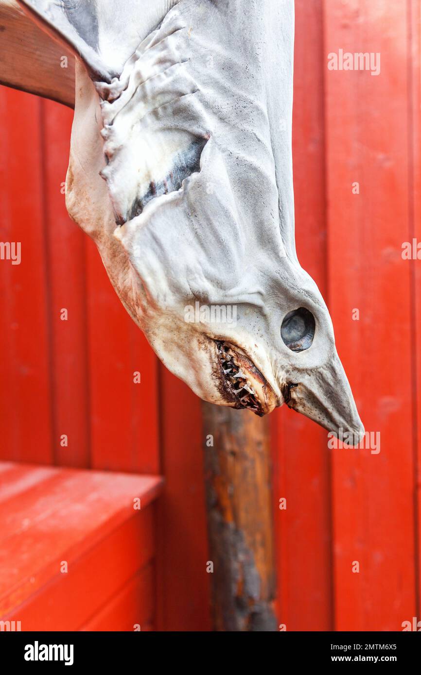 Seafood caught hi-res stock photography and images - Alamy