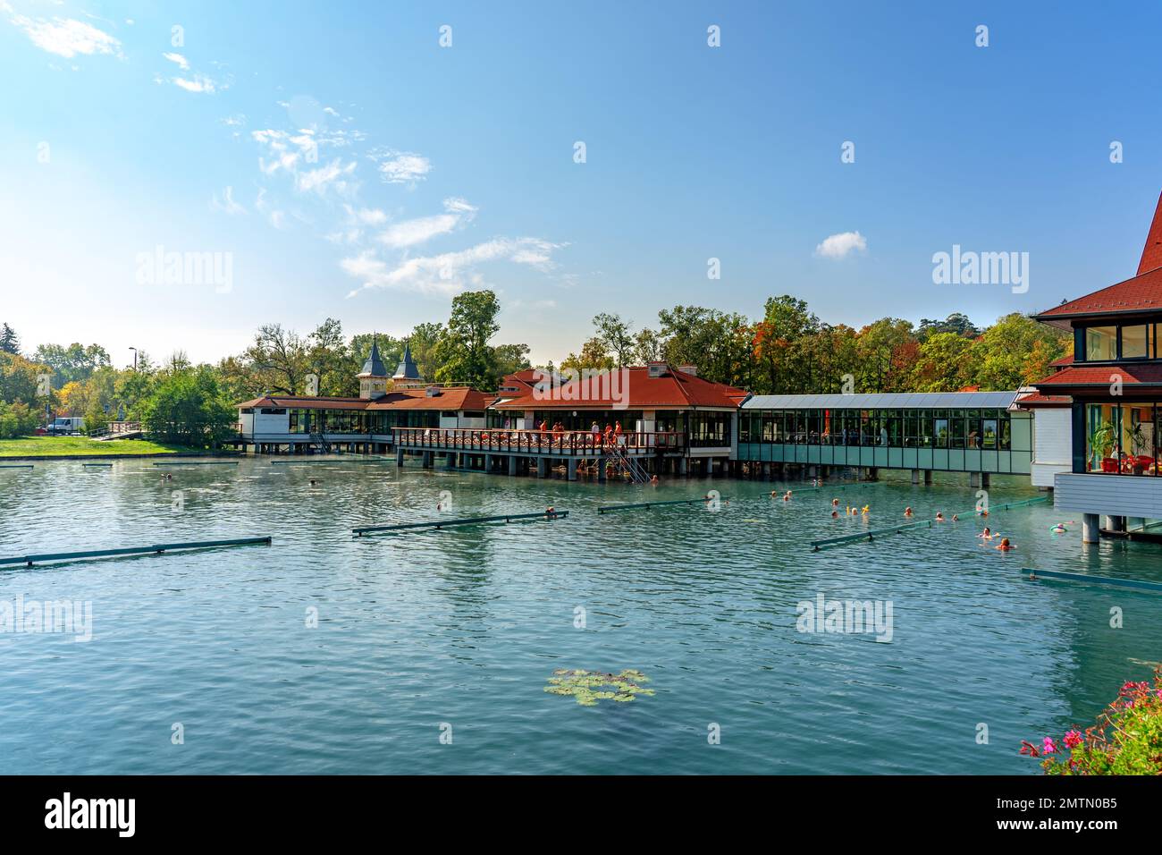 Spring Pool Hungary famous Heviz balneal thermal bath hot spring in Hungary with flowers ...