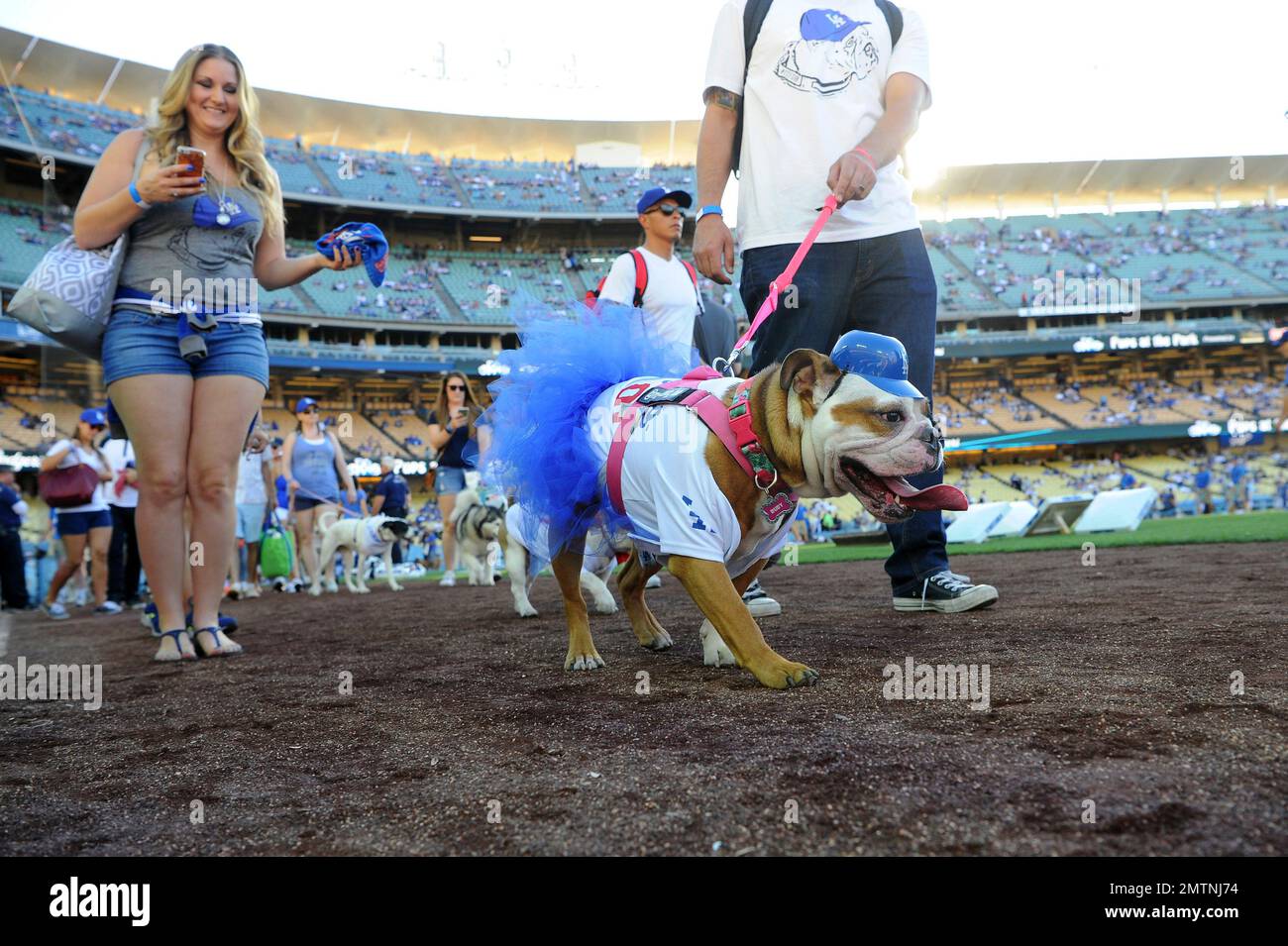 People walk their dogs around the dirt area of the baseball field at