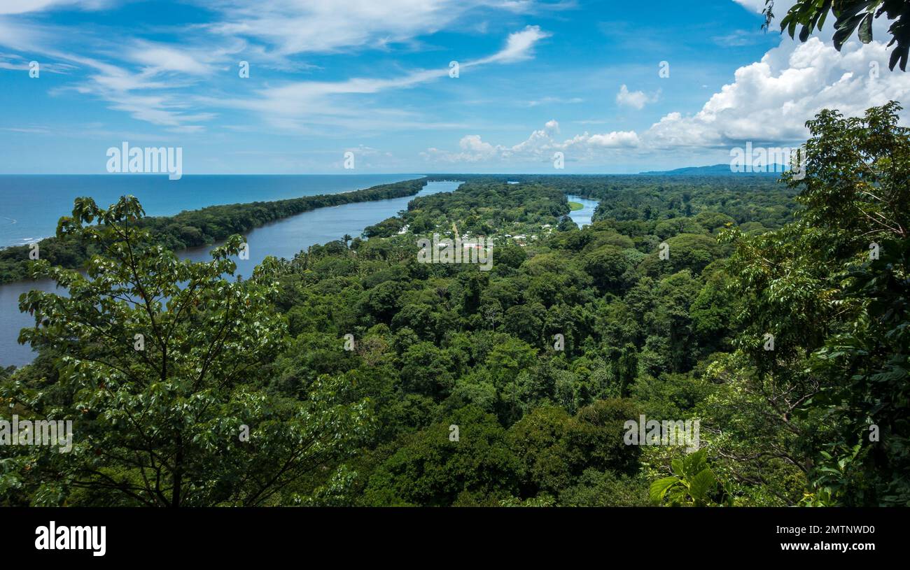 An aerial view of sea beach surrounded by dense trees Stock Photo - Alamy