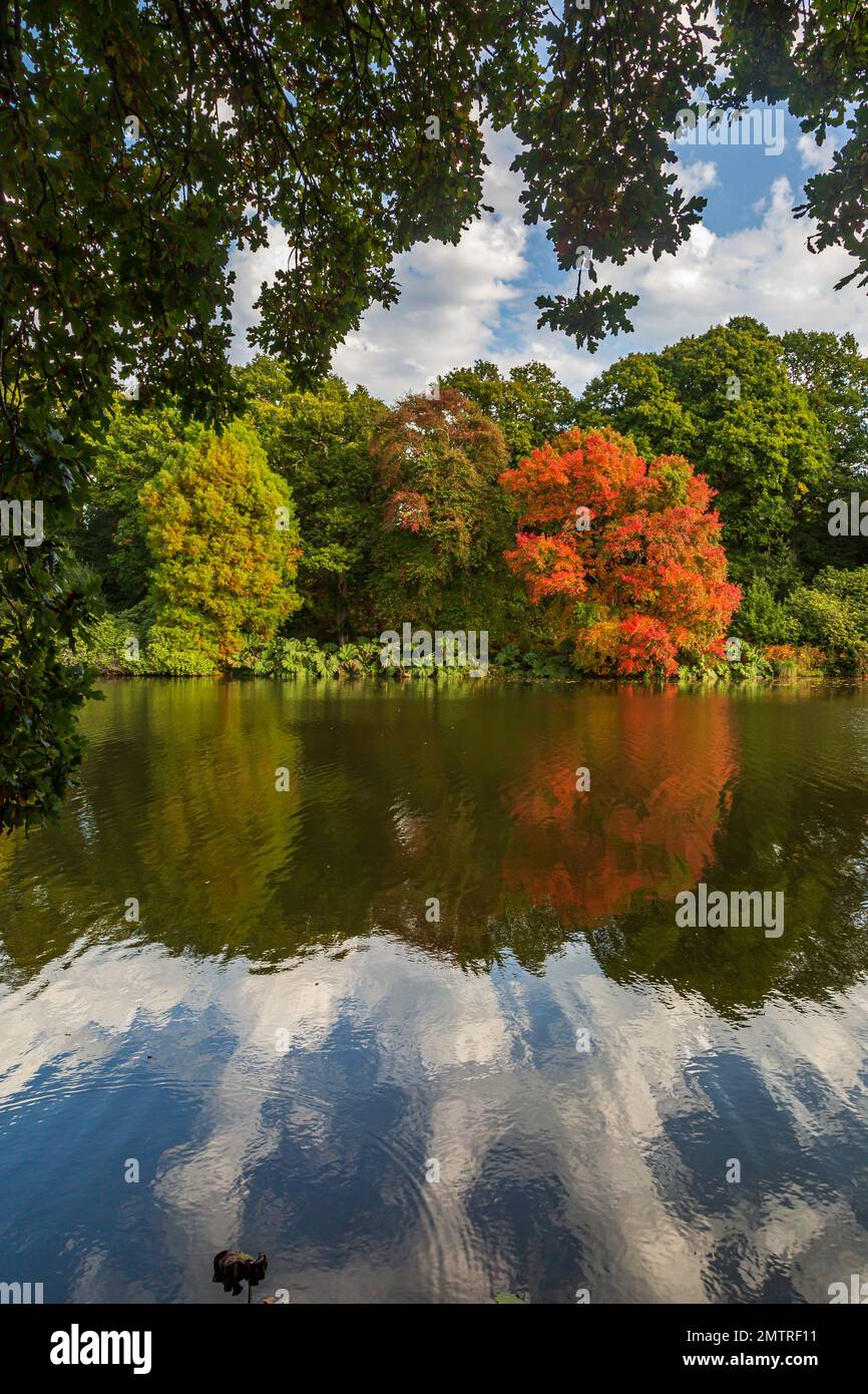 Autumnal trees reflecting in hi-res stock photography and images - Alamy