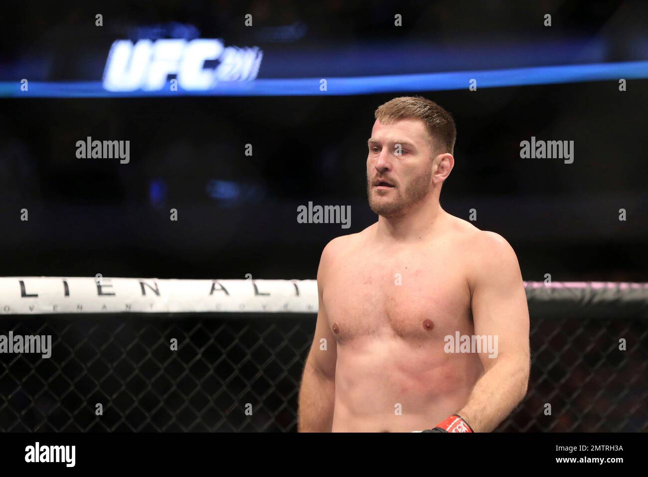 Ufc heavyweight champion 2017 cheap