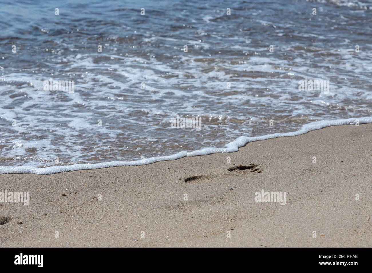 Footprints of a man on the yellow beach sand from walking barefoot by the sea with water that washes away the footprints. Contemplation of life Stock Photo
