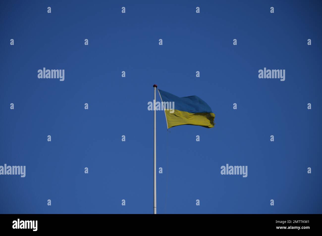 Copenhagen/Denmark/01 February 2023/ Danish media Politken hus  and few other daily papes stand with ukiran, media house fly ukrianina flg on house soliditary  with ukrainian crisis  Copenhagen Denmark.  (Photo. Francis Joseph Dean/Dean Pictures) Stock Photo