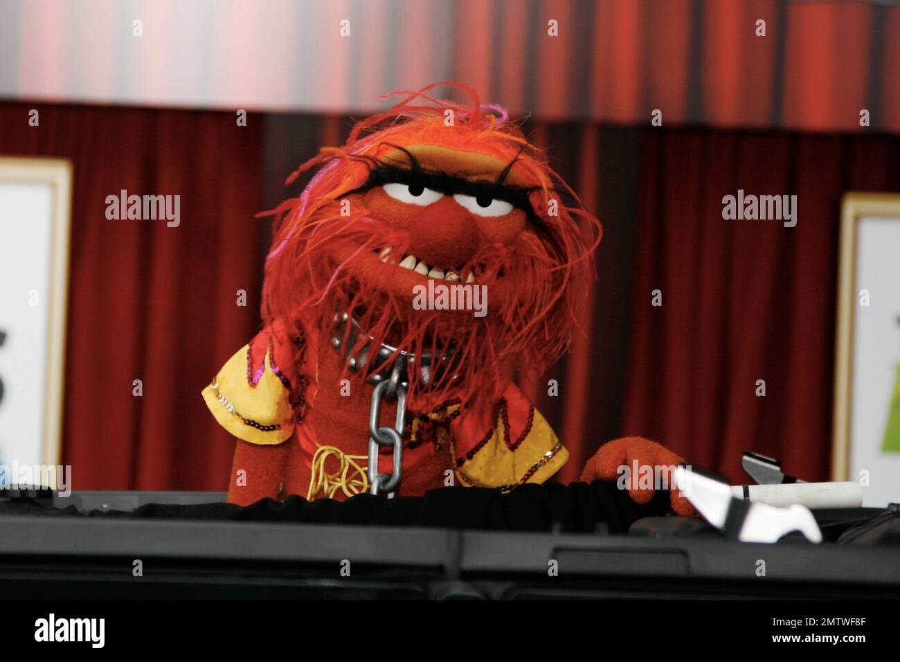Animal at the Los Angeles Premiere of 'The Muppets' held at the El Capitan Theatre. Los Angeles, CA. 12 November 2011. Stock Photo