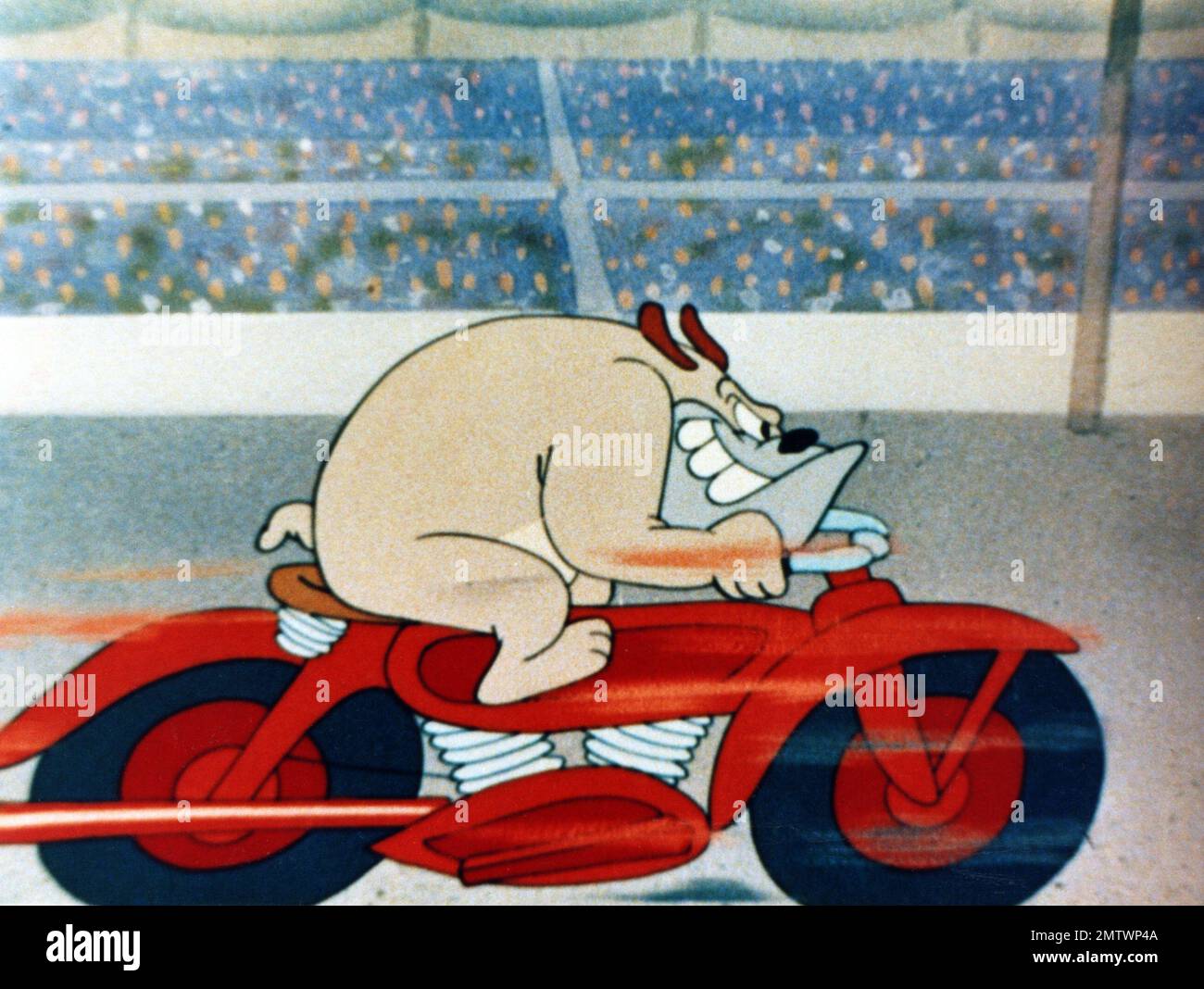 The Chump Champ Year: 1950 USA Director: Tex Avery Animation Stock Photo