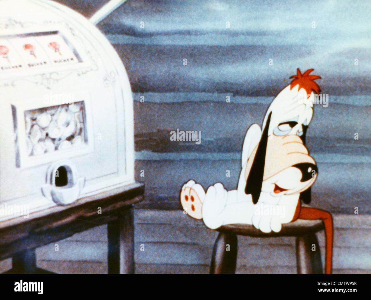 droopy dog sh