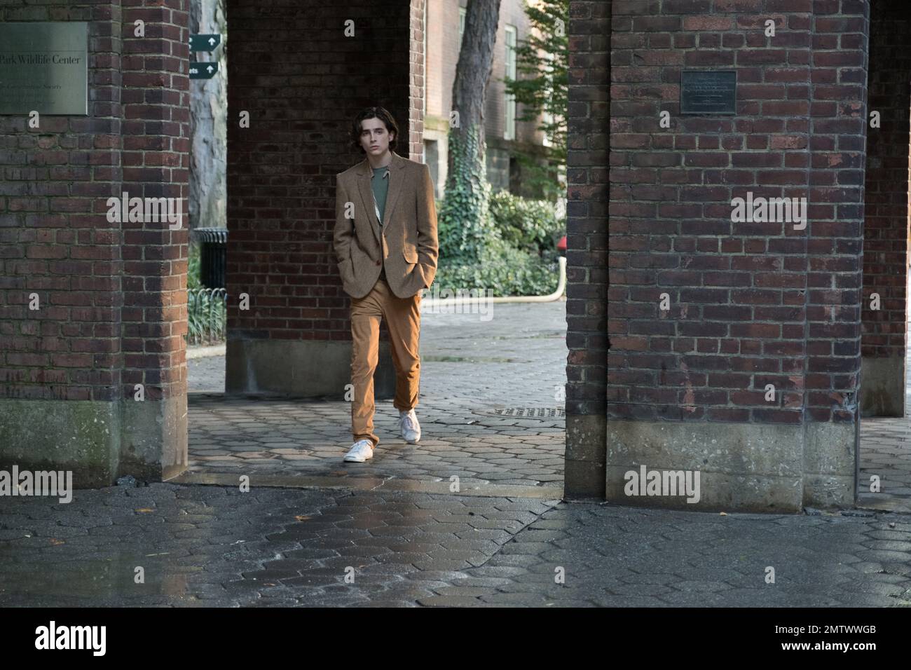 2019 usa director woody allen timothee chalamet hires stock