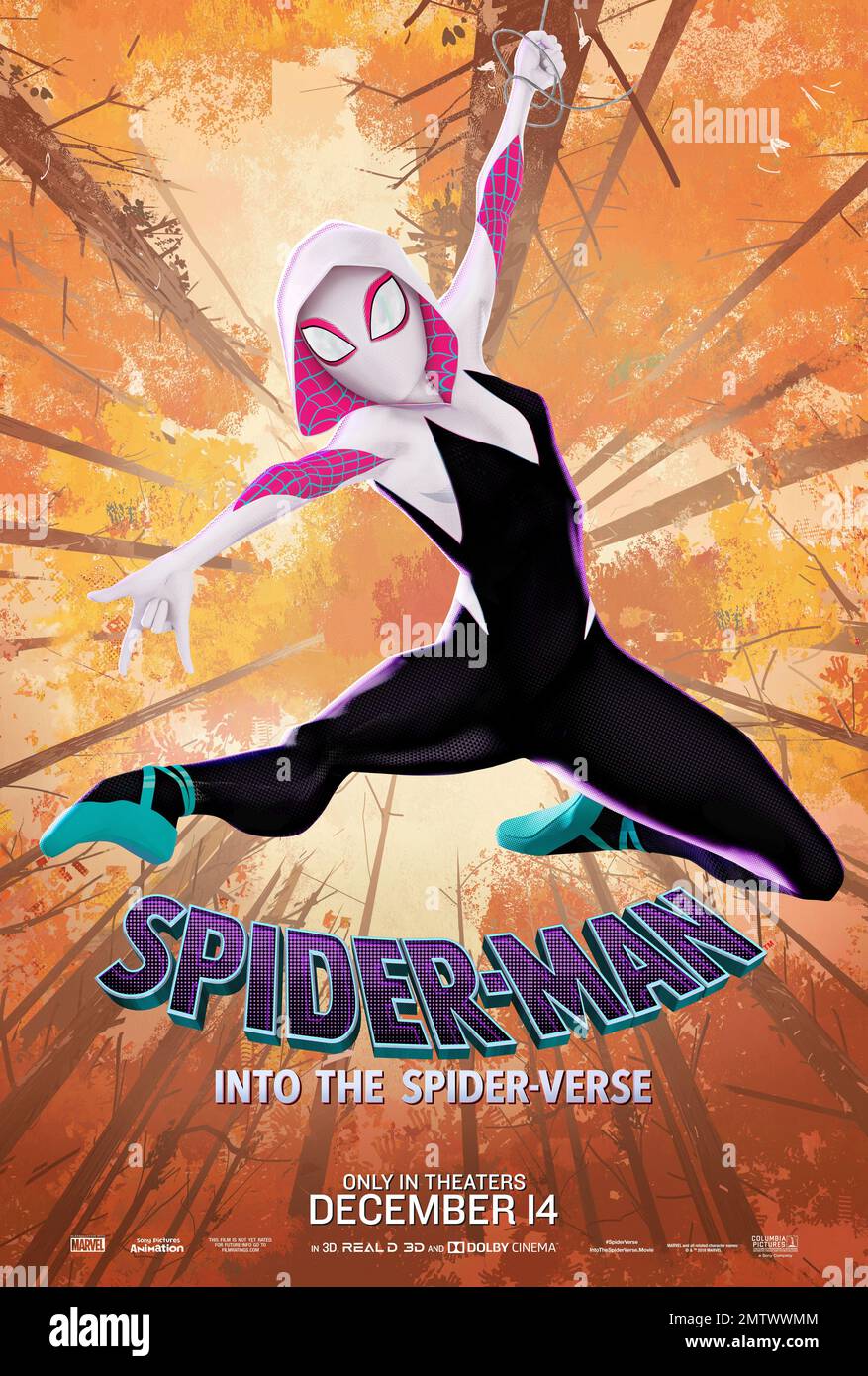 Spider-Man: Into the Spider-Verse Year : 2018 USA Director : Bob Persichetti, Peter Ramsey, Rodney Rothman   Animation American poster Stock Photo