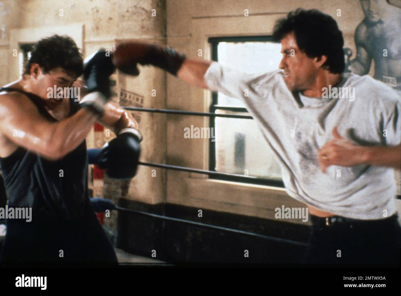 Rocky 5 Year : 1990 USA Director : John G. Avildsen Tommy Morrison, Sylvester Stallone Stock Photo
